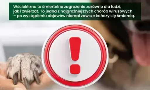 wścieklizna
