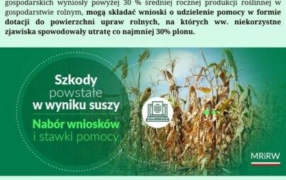 Zdjęcie do Szkody powstałe w wyniku suszy