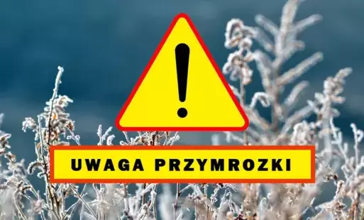 przymrozki